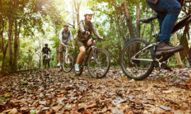 Integer nec odio praesent libero sed cursus