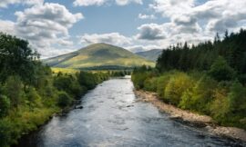 Lacinia nunc curabitur tortor pellentesque nibh