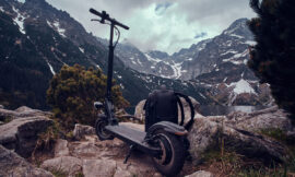 Elementum imperdiet duis sagittis ipsum