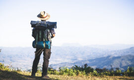 Nulla metus metus ullamcorper vel tincidunt